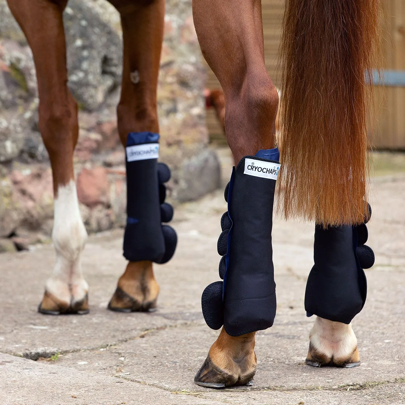 Cryochaps K2F Ice Boots - Hind Pair
