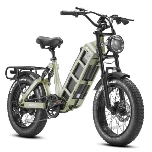 Eahora Juliet | 1000W 48V 60Ah Moped Style Electric Bike