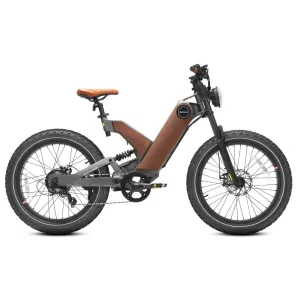 Eahora P5| 750W 48V 20Ah Mountain Electric Bike