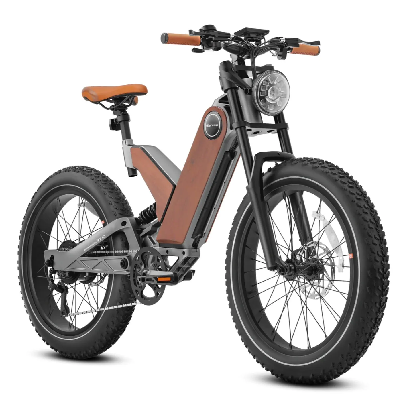 Eahora P5| 750W 48V 20Ah Mountain Electric Bike