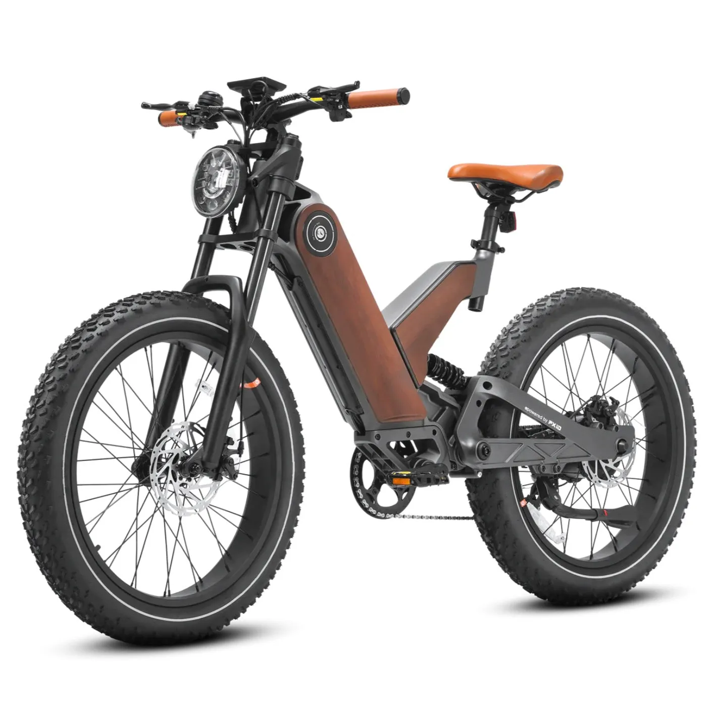 Eahora P5| 750W 48V 20Ah Mountain Electric Bike