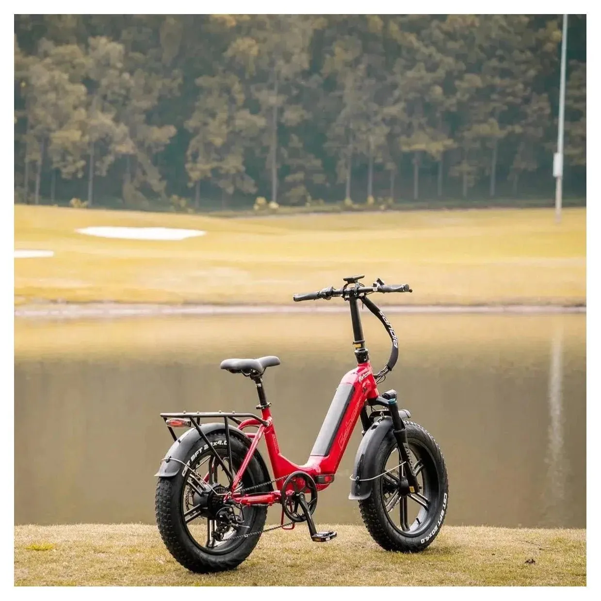 Eahora Urban 750W Folding Fat Tire Electric Bike