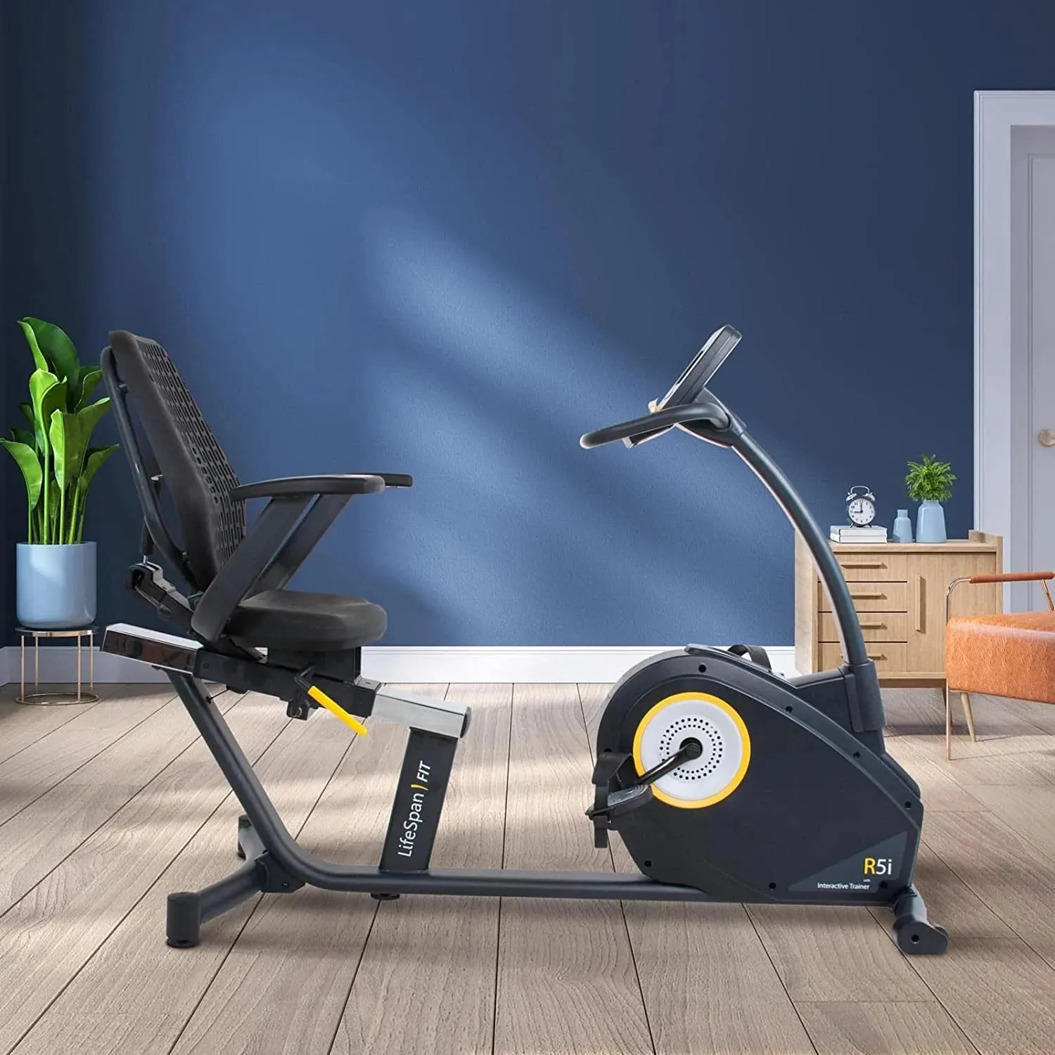 *Lifespan R5i Recumbent Bike – SALE!