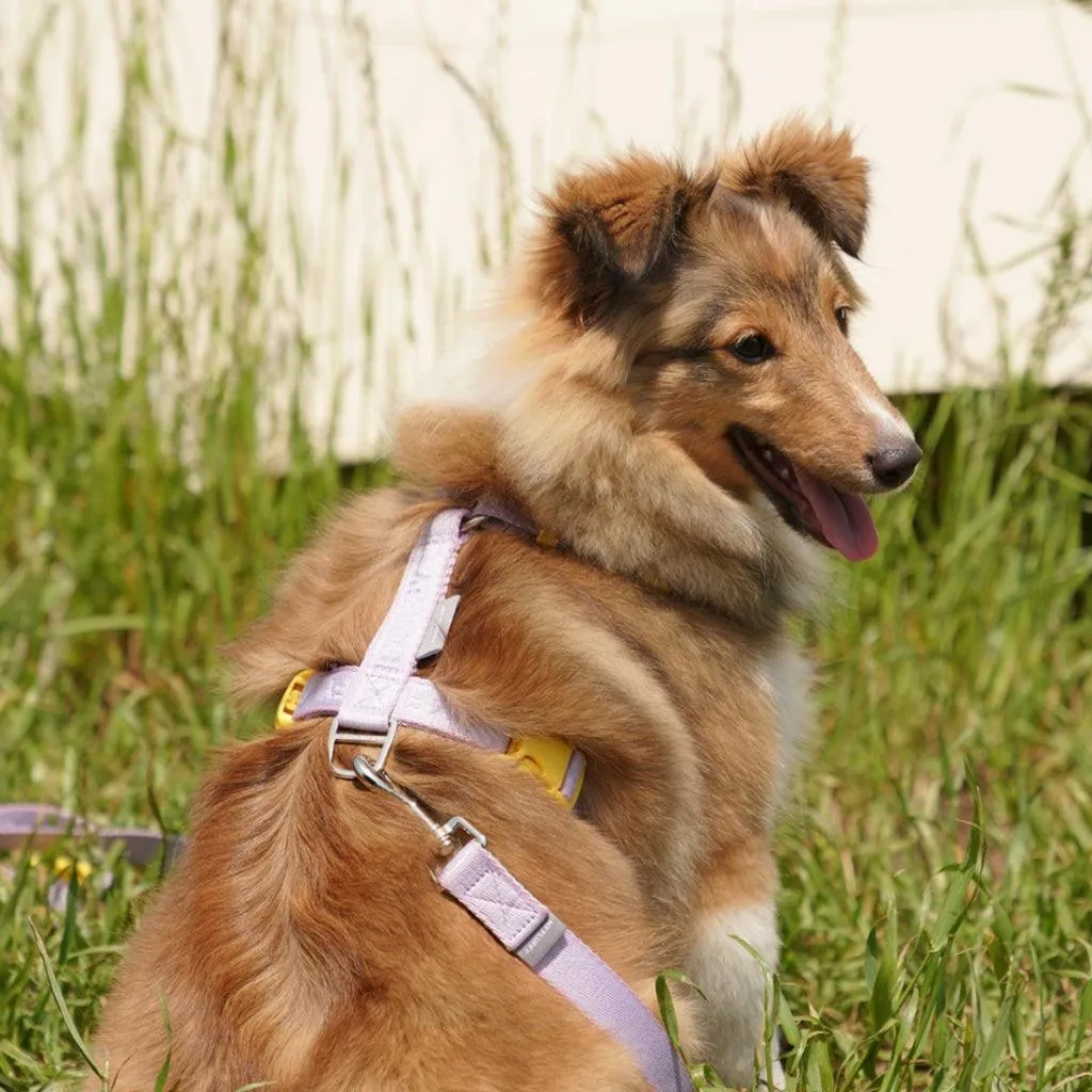 My Fluffy - Fit Band Harness (Lavender Purple)