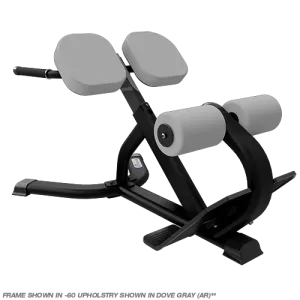 Nautilus Instinct 45° Back Extension