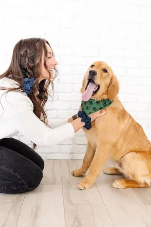 Paws Pet Bandana   Scrunchie