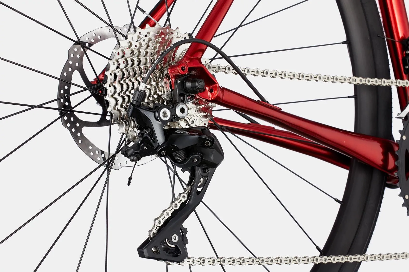 Synapse 105