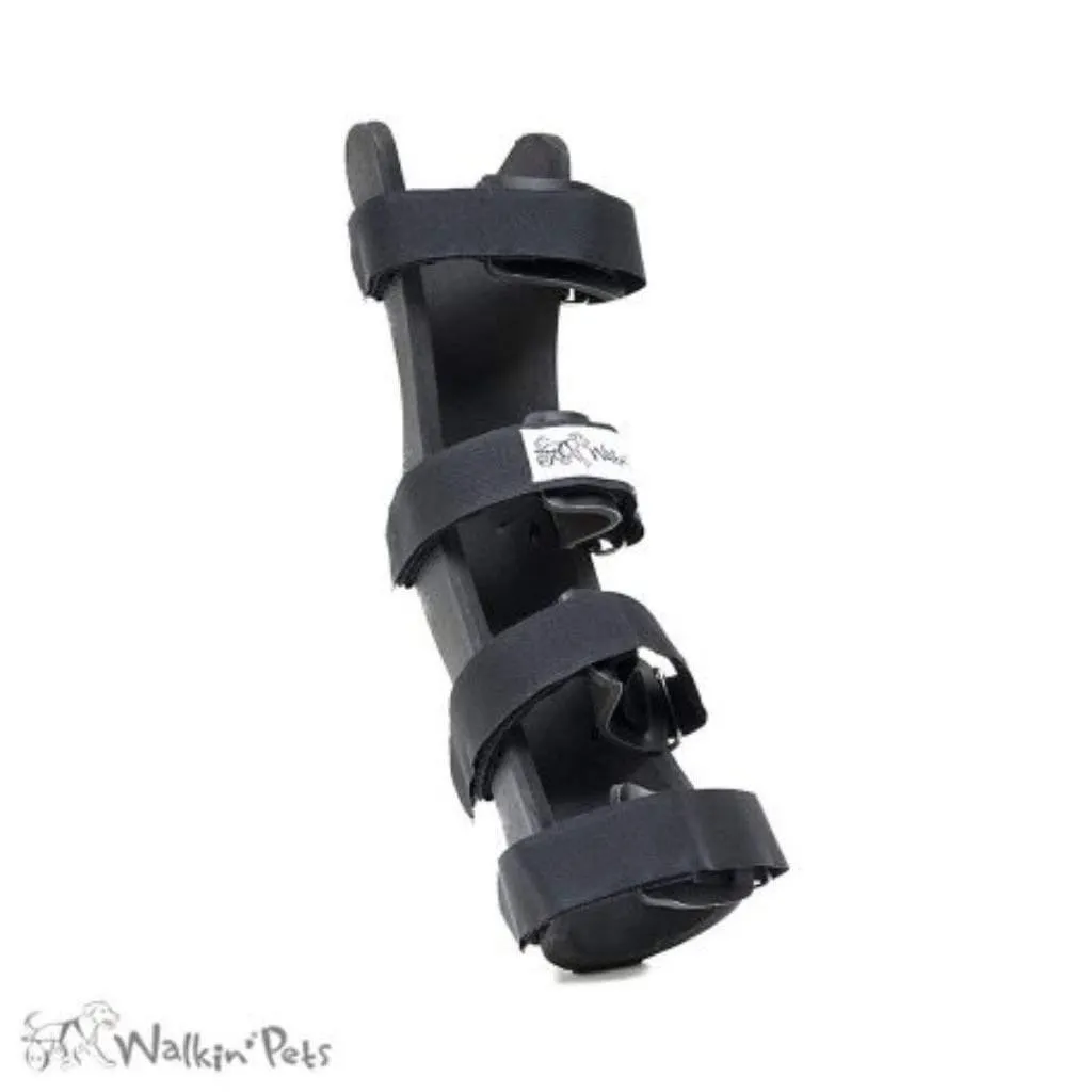 Walkin’ Hock Dog Splint