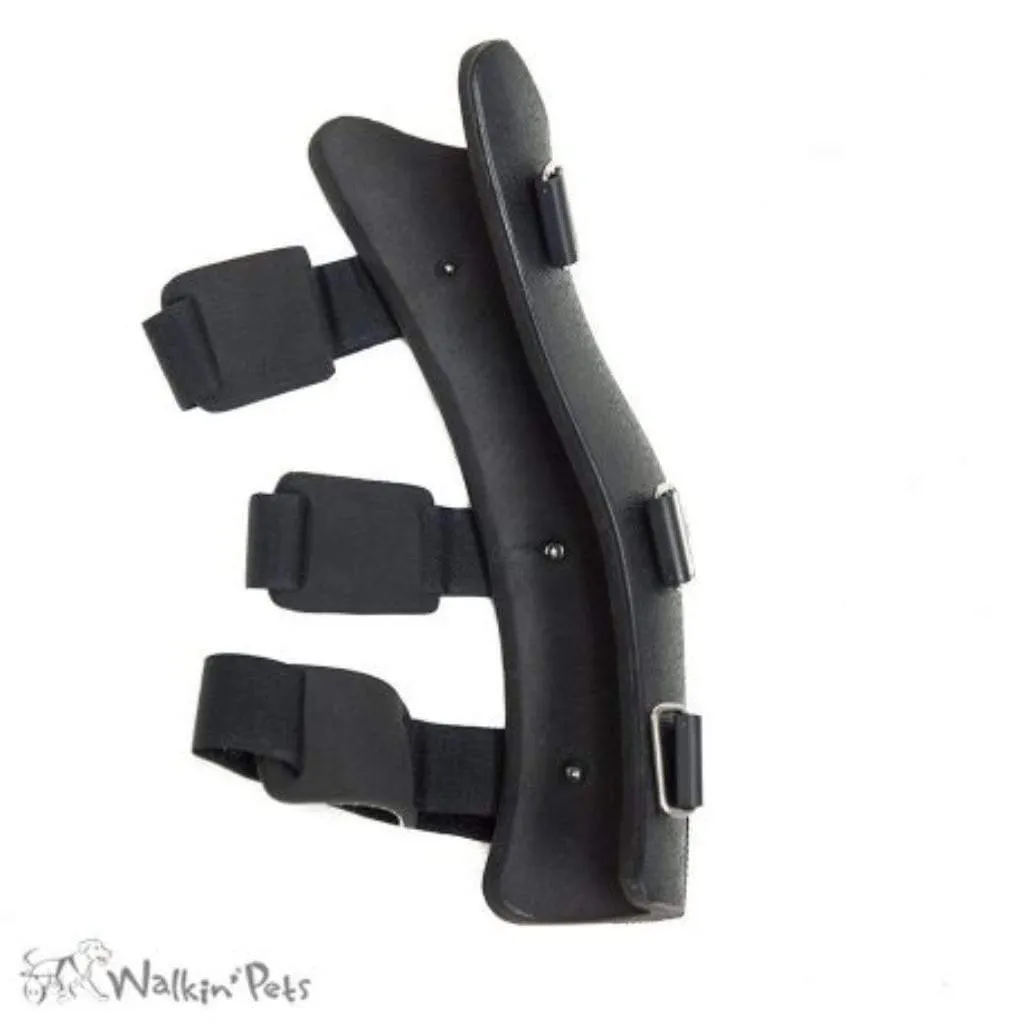Walkin’ Hock Dog Splint