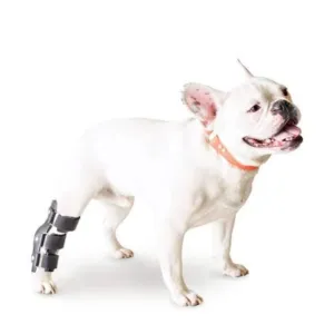 Walkin’ Hock Dog Splint