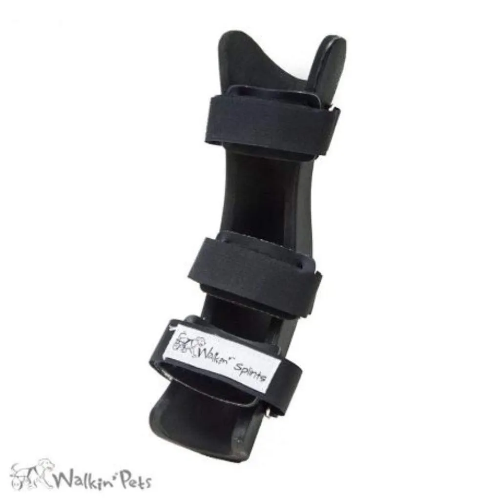 Walkin’ Hock Dog Splint