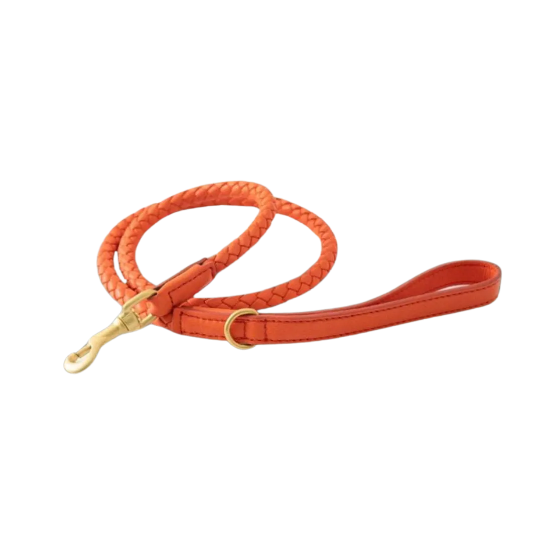Yellowstone New Heritage Leather Set